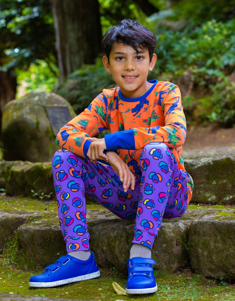 Rainbow Leopard Print Spots | Climber pants