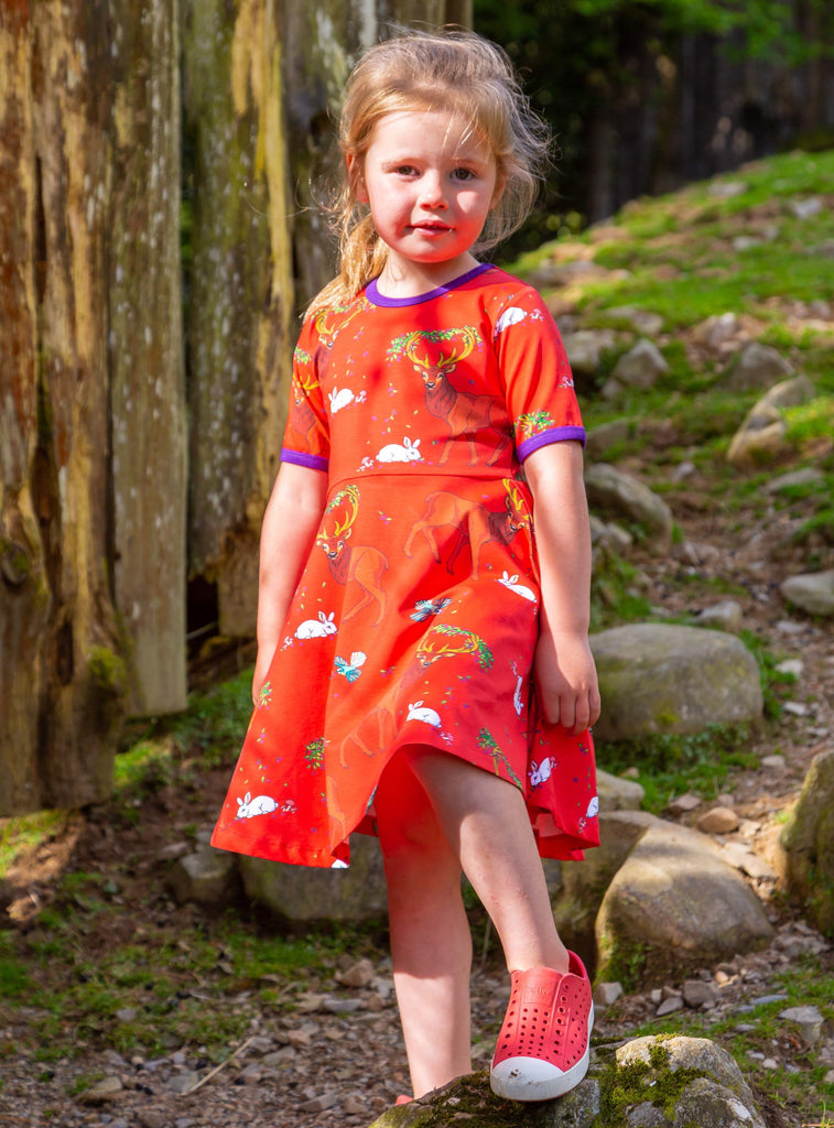 Cedar in the Berry Bush | Twirl dress