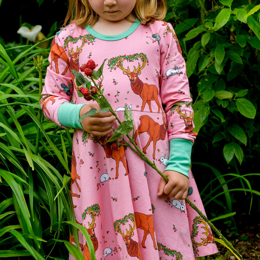 Cedar in the Berry Bush | Twirl dress long sleeve
